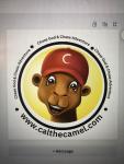 CAL THE CAMEL LLC ( Self Published Books)