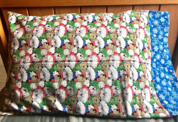 Christmas Dog Pillowcase with Magical Pillowcase Poe,