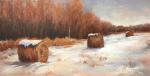 Snowy Meadow