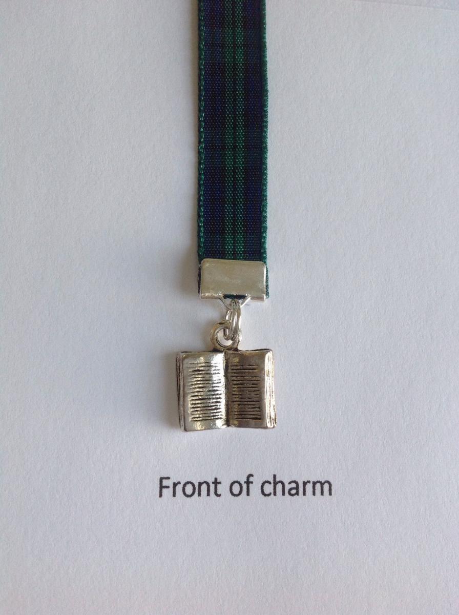 Book Lovers bookmark  - Attach clip to book cover then mark the page with the ribbon. Never lose your bookmark! picture