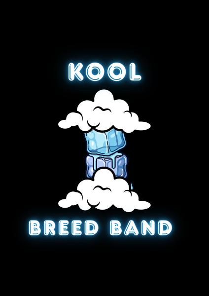 Kool Breed Music LLC