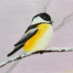 Chickadee #1