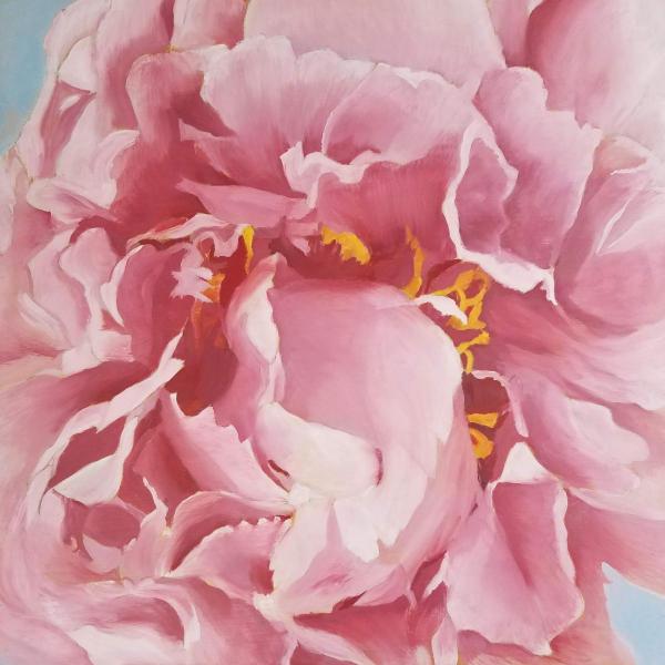 Heirloom Peony picture