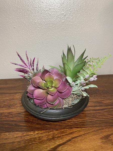 Black and White Succulent Bowl picture