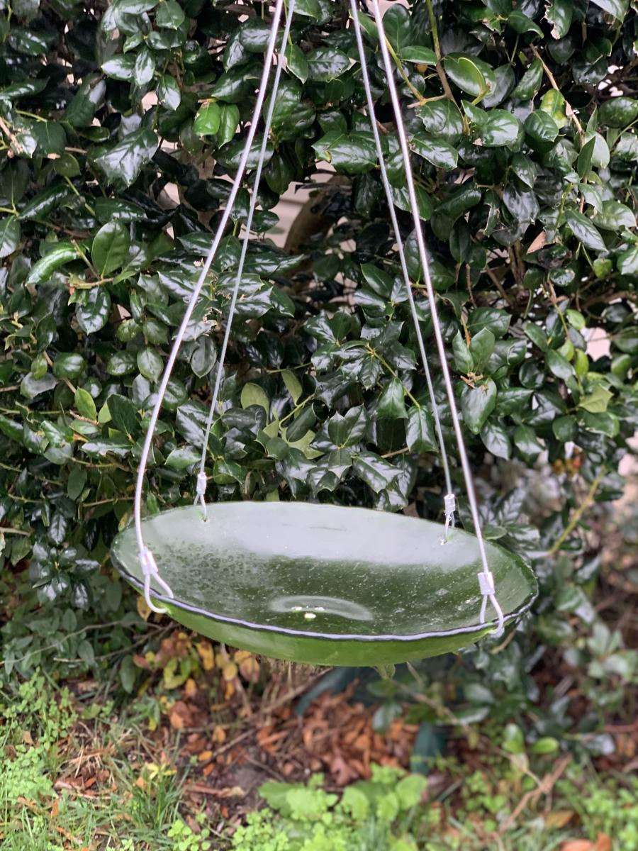 Green Bird Feeder picture