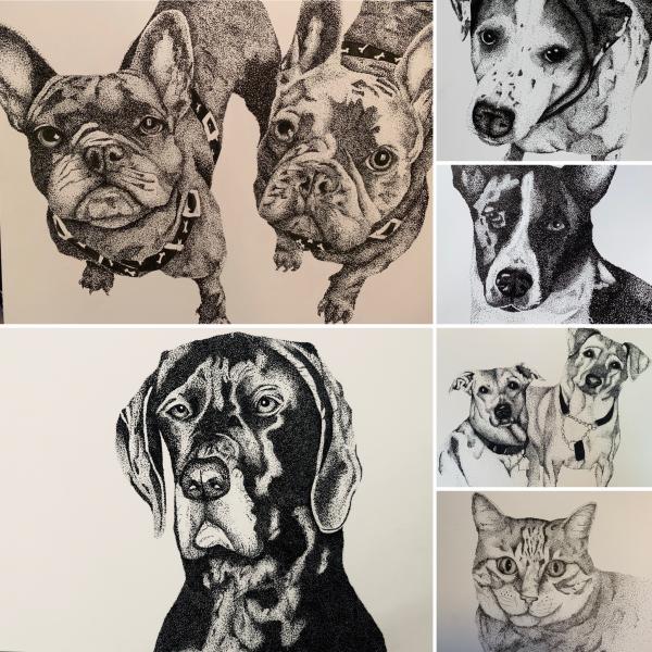 Larger Pet Portraits