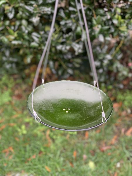 Green Bird Feeder