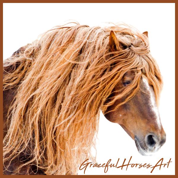 Graceful Horses Art