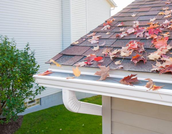 Leafhome