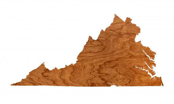 Wall Hanging - Blank - Virginia picture