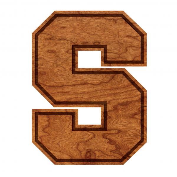 Syracuse - Wall Hanging - Logo - Block S picture