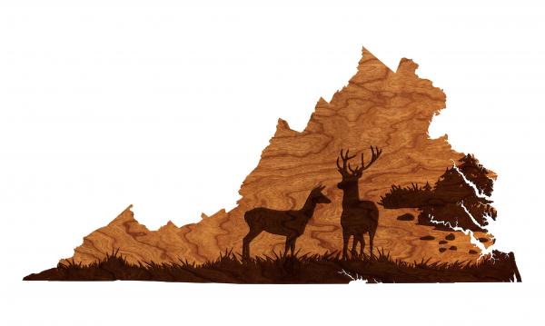 Virginia White-Tailed Deer Wall Hanging picture