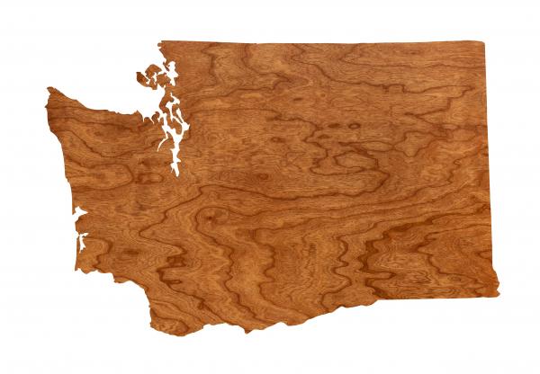 Wall Hanging - Blank - Washington picture