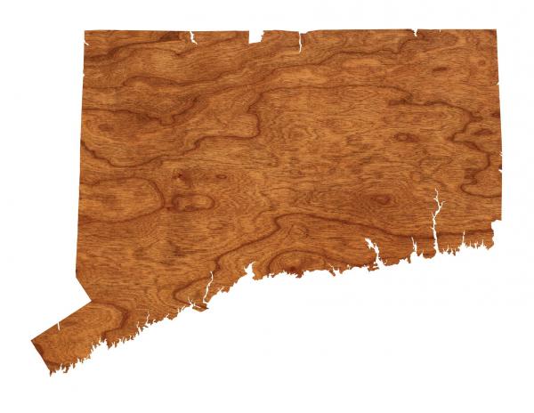 Wall Hanging - Blank - Connecticut picture