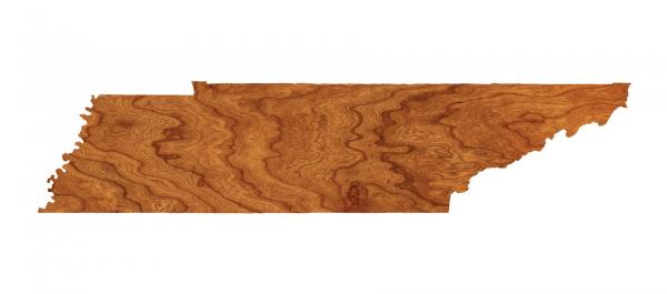 Wall Hanging - Blank - Tennessee picture