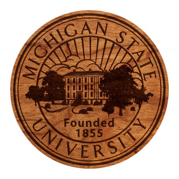 Michigan State - Wall Hanging - Logo - University Seal picture