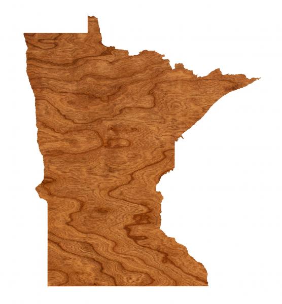 Wall Hanging - Blank - Minnesota picture