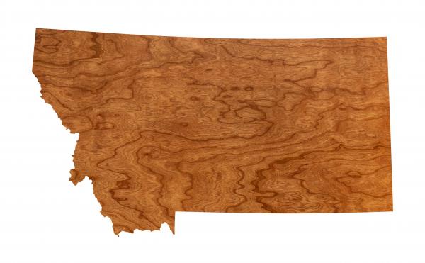 Wall Hanging - Blank - Montana picture