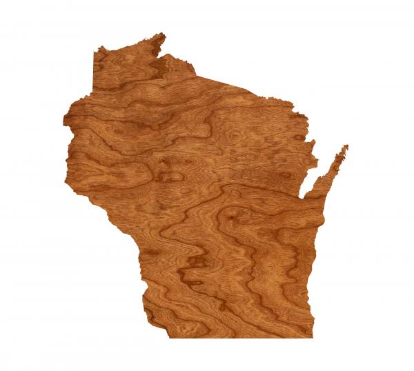 Wall Hanging - Blank - Wisconsin