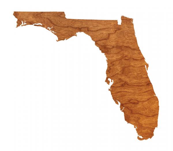 Wall Hanging - Blank - Florida