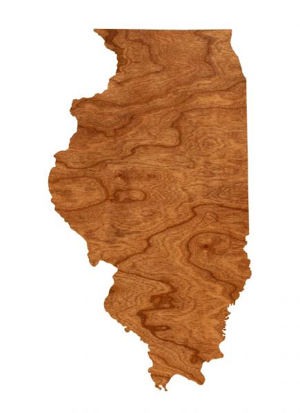 Wall Hanging - Blank - Illinois