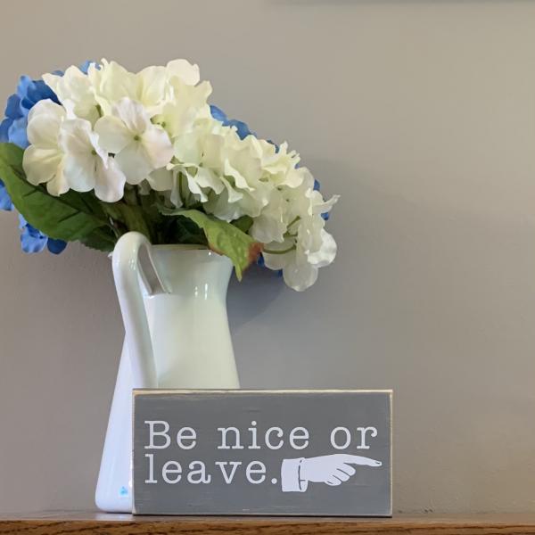 Be Nice or Leave picture