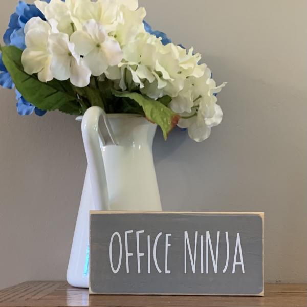 Office Ninja picture