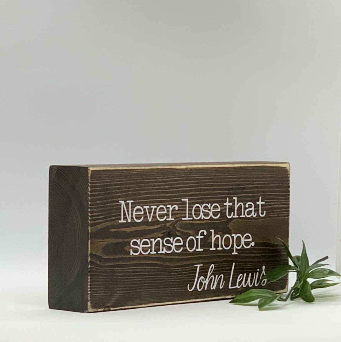 John Lewis quote picture