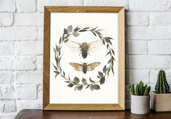 Cicada - 5x7 Art Print