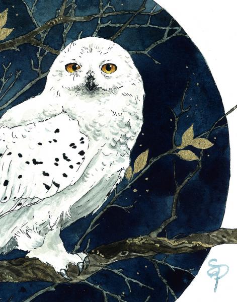 Snowy Owl - 8x10 Art Print picture