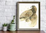 Golden Eagle - 8x10 Art Print