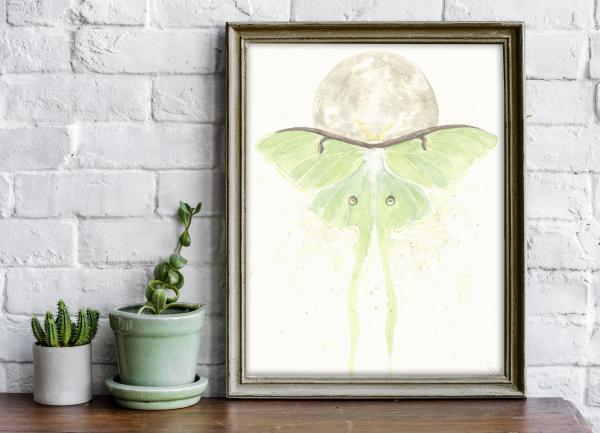 Luna Moth - 5x7 Art Print picture