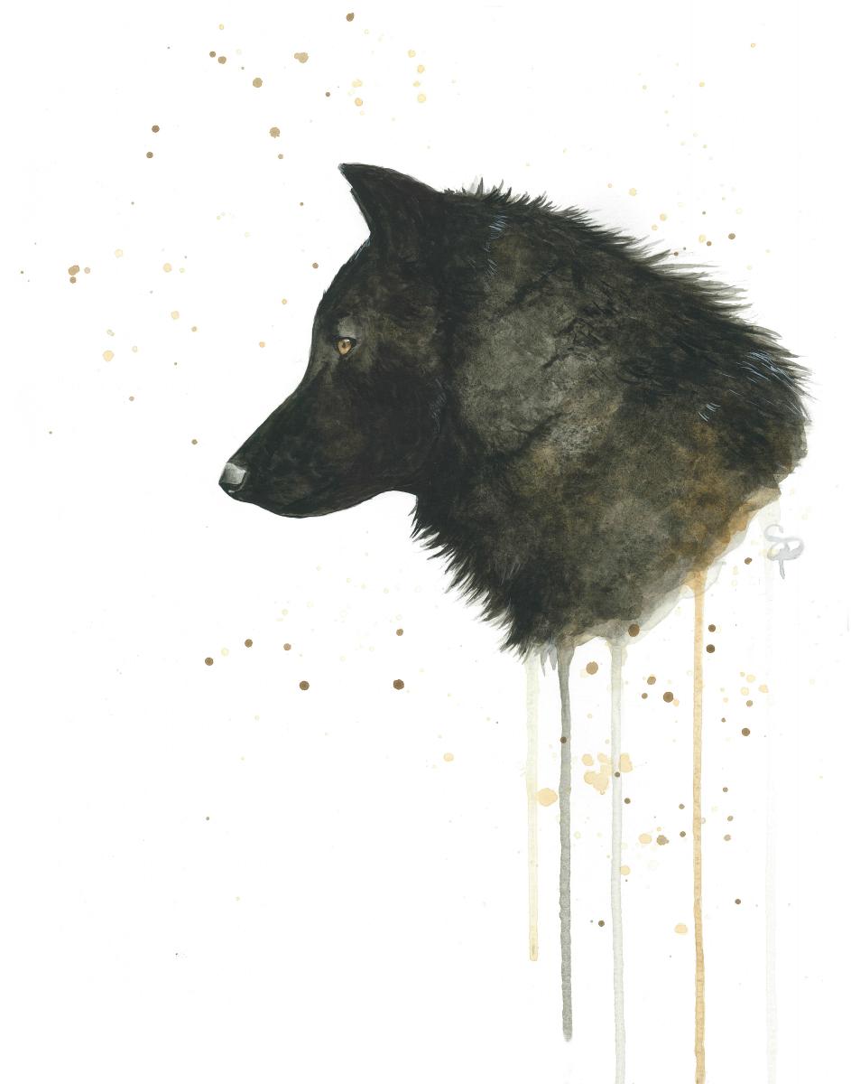 Black Wolf - 8x10 Art Print picture