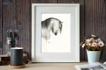 Dapple Grey Horse - 11x14 Art Print