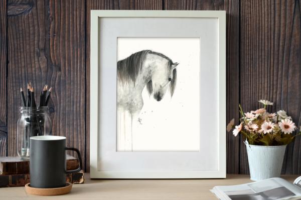 Dapple Grey Horse - 11x14 Art Print