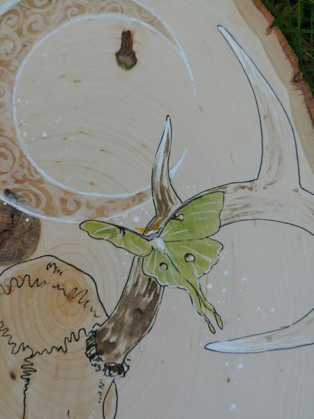 Deer Skull and Luna Moth Wood Round picture