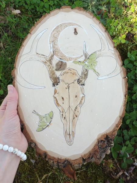 Deer Skull and Luna Moth Wood Round picture