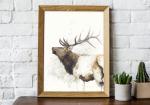 Elk - 5x7 Art Print