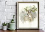 White-tailed Deer - 8x10 Art Print