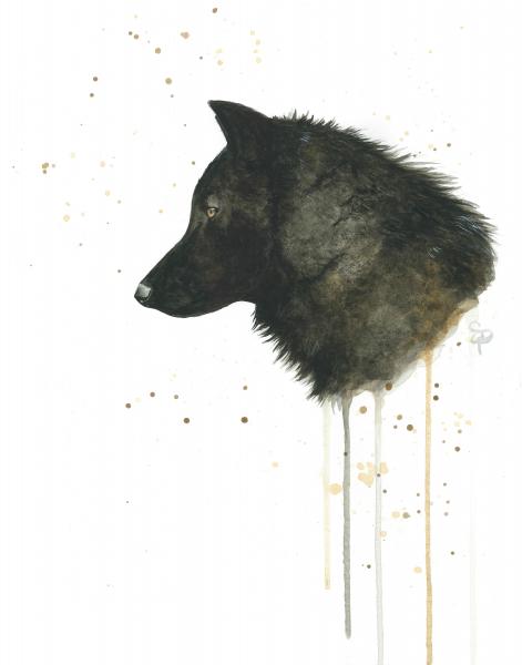 Black Wolf - 5x7 Art Print picture