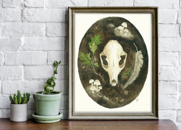 Grey Fox Skull - 5x7 Art Print