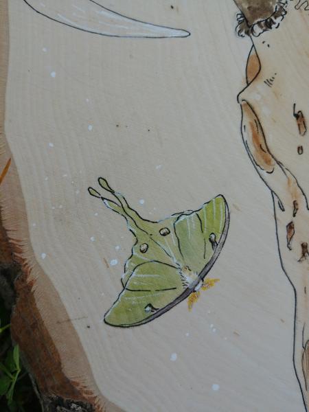 Deer Skull and Luna Moth Wood Round picture
