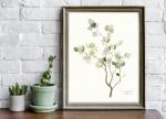 Eucalyptus - 8x10 Art Print