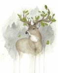 Original White-tailed Deer