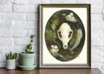 Grey Fox Skull - 8x10 Art Print