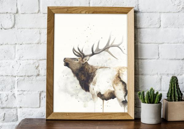 Elk - 8x10 Art Print picture