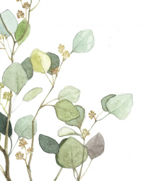 Original Eucalyptus Painting picture