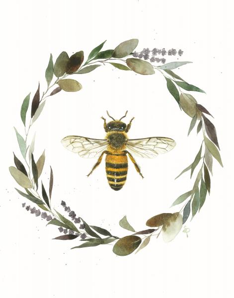 Honeybee - 11x14 Art Print picture