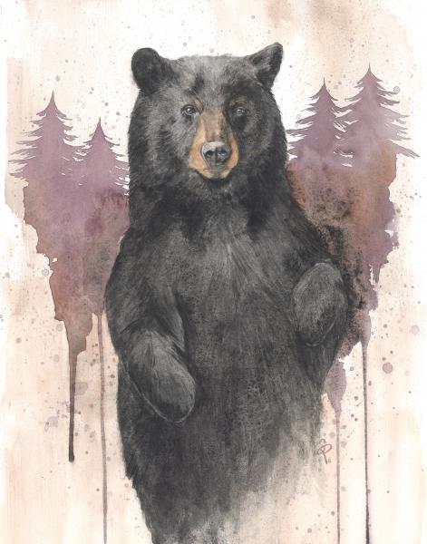 Black Bear - 5x7 Art Print picture