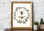 Cicada - 11x14 Art Print